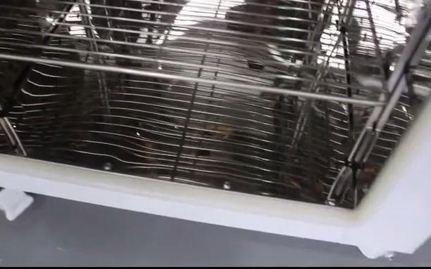 帝龍廠家批發供應工業專用干燥箱哪個牌子好精密烘箱